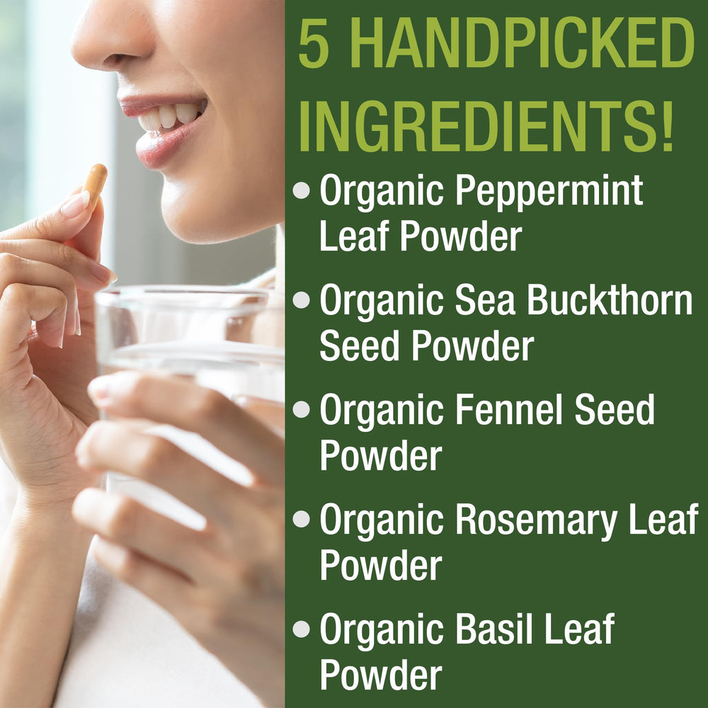 Peak Performance packaging outer box communicates organic vegan and allergen free formula.