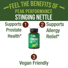 Peak Performance organic nettle leaf close-up showing pure plant source for daily vitality