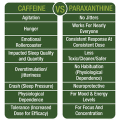 Peak Performance Paraxanthine capsules inside bottle ready for daily use