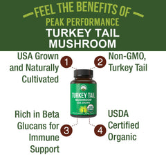 Closeup of Peak Performance turkey tail capsules showing easy daily use