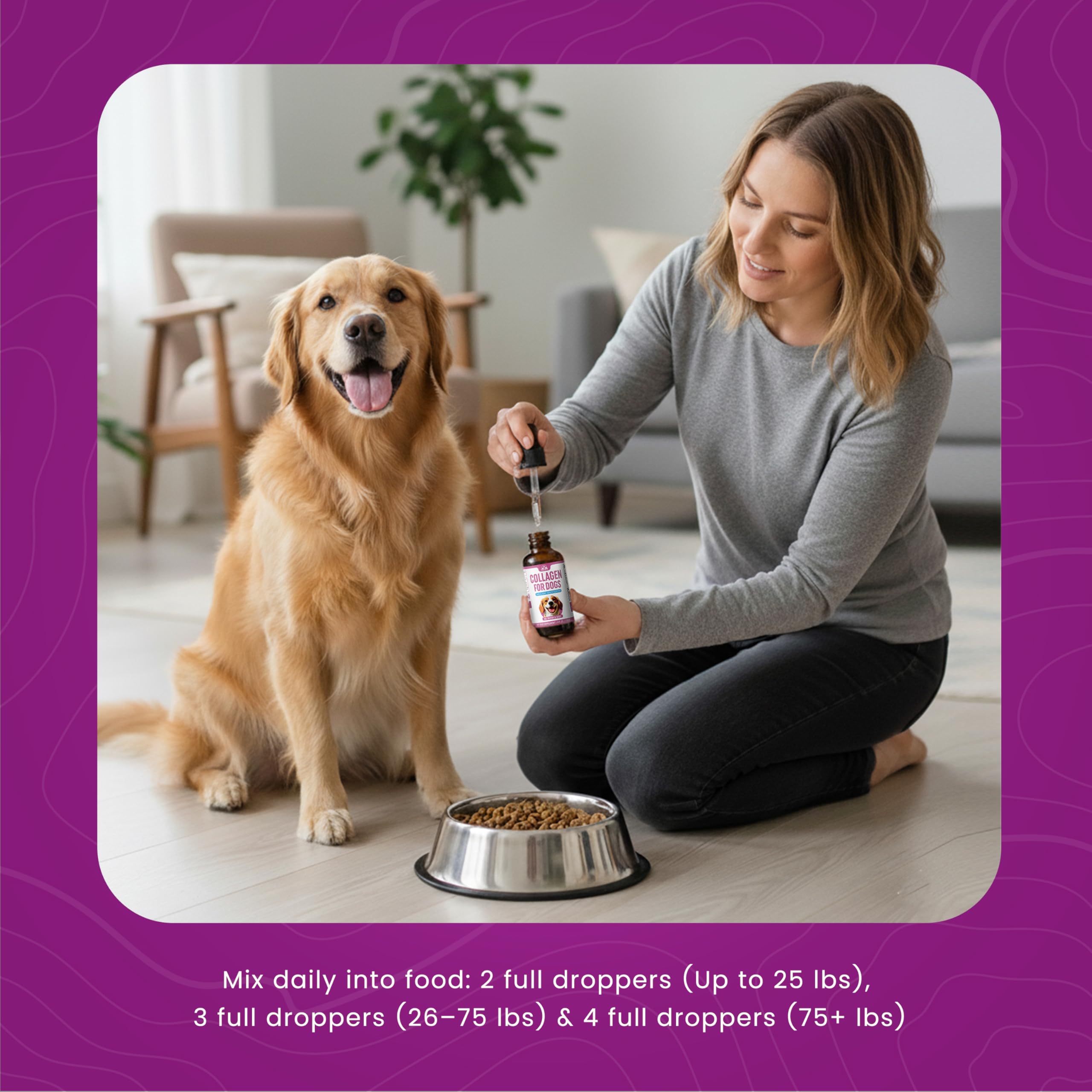 Smaller breed dog benefiting from daily collagen routine