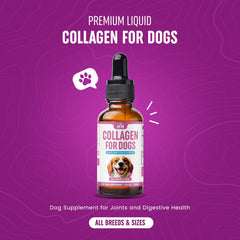 Dog enjoys meals with Peak Pets collagen drops added