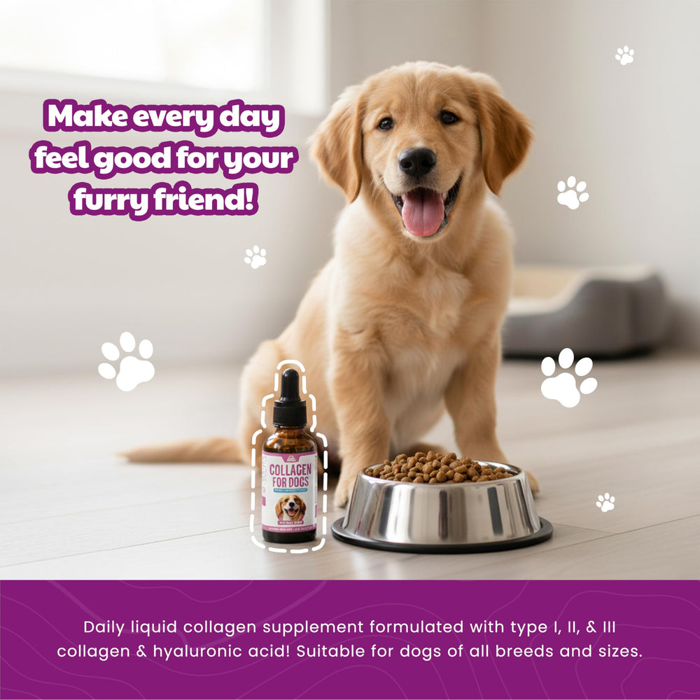 Two to four droppers shown for different dog sizes