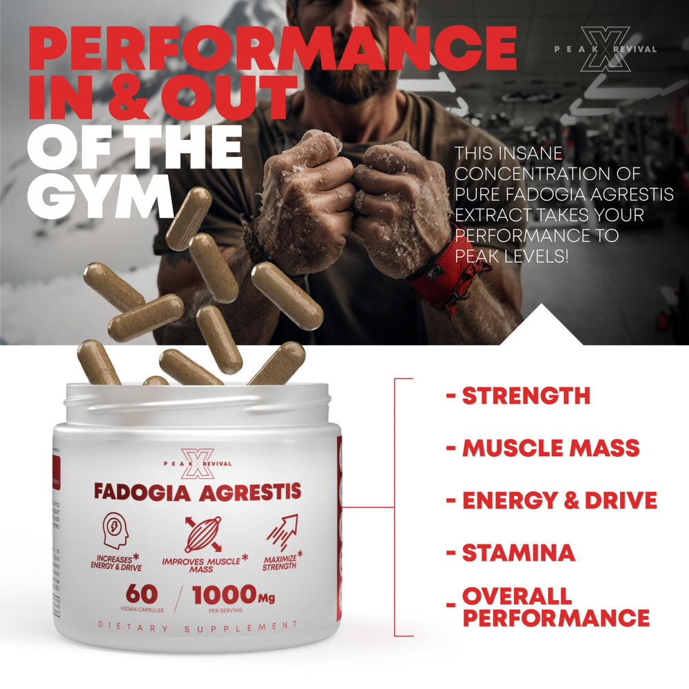 Fadogia capsules ready for daily supplement routine and energy boost