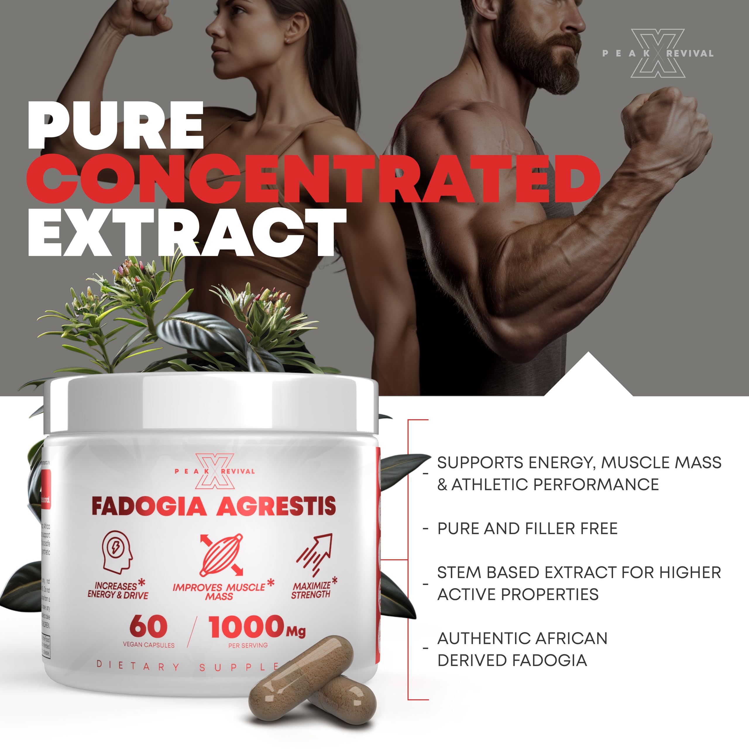 Scoop included for accurate 1000mg serving measurement