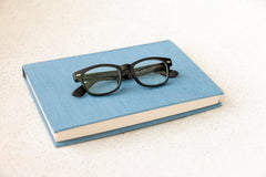 Peepers Clark travel canvas case protects glasses on the go.