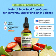 Pella Nutrition Sea Moss Drops dropper shows easy 2ml dosing for busy days.