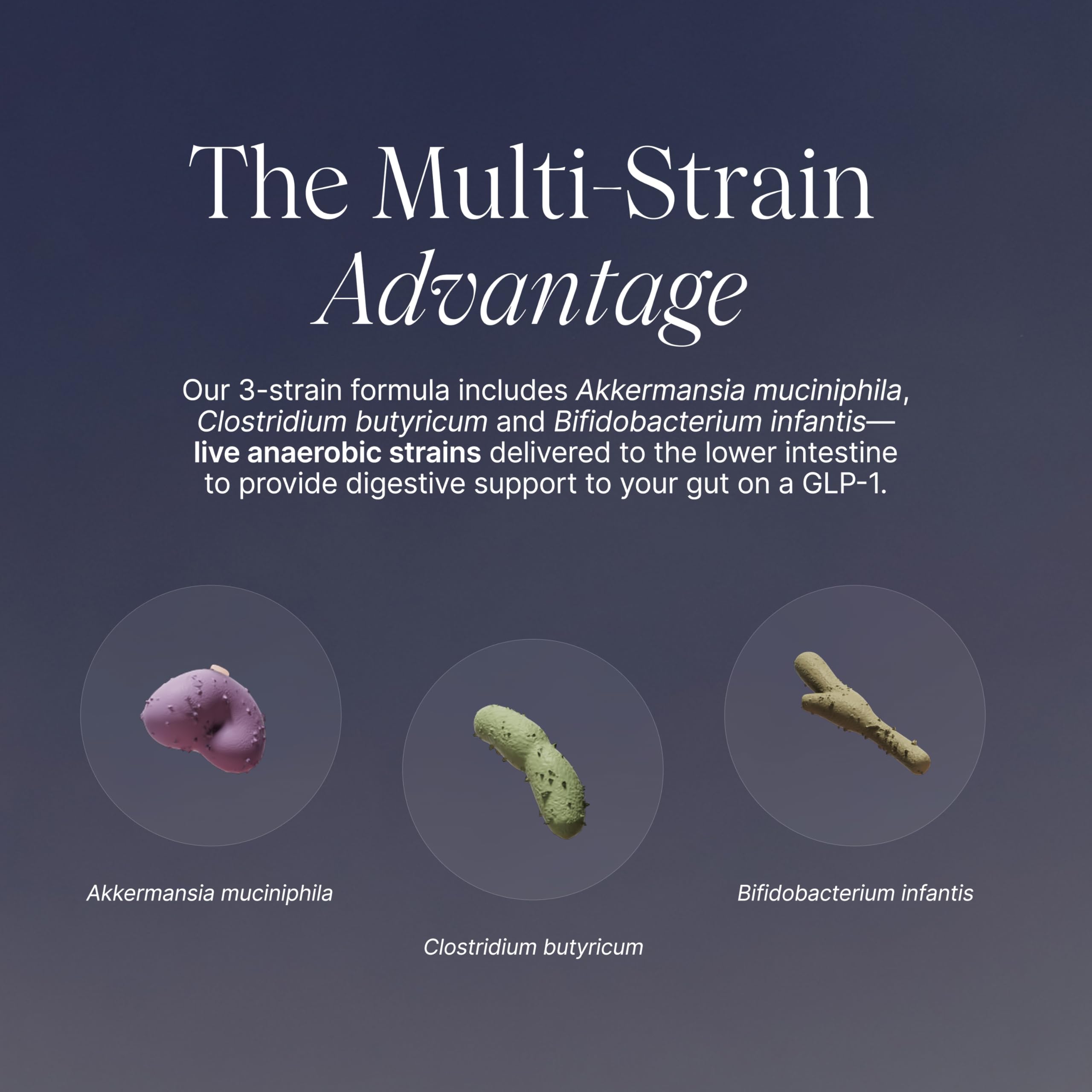 Pendulum GLP-1 Probiotic label highlighting the three-strain blend