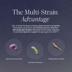 Pendulum GLP-1 Probiotic label highlighting the three-strain blend