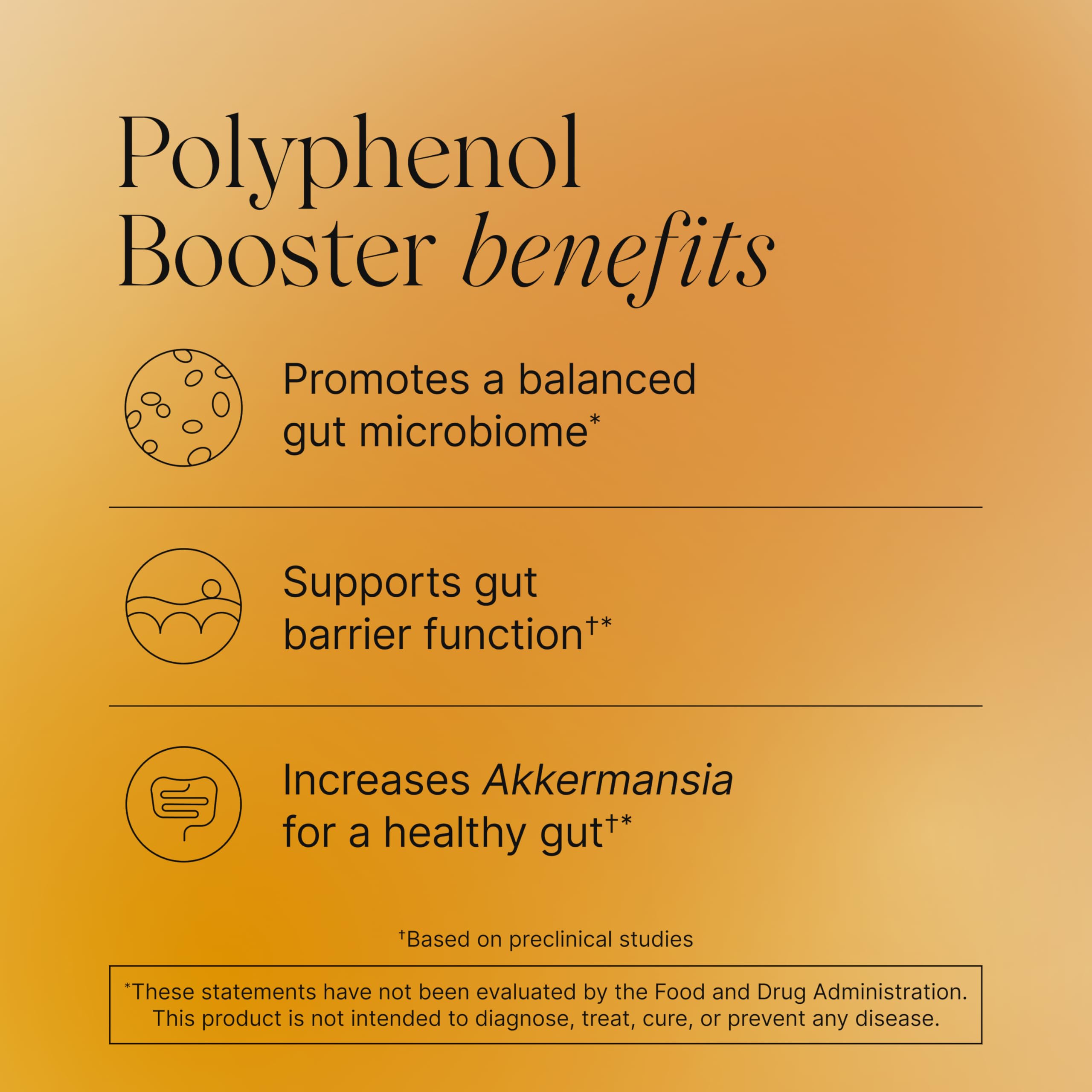 Pendulum Polyphenol Booster bottle label details highlight polyphenol-rich ingredients