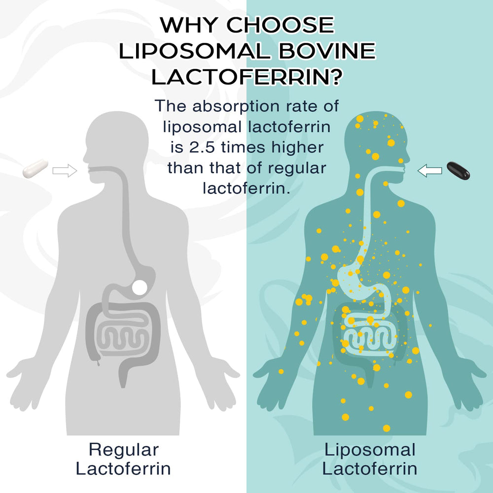 Pepeior liposomal lactoferrin softgel close-up showing 1000 mg potency for easy daily use.