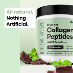 Perfect Keto Collagen Mint Chocolate dessert bowl for keto-friendly treats.