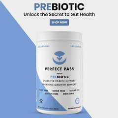 PERFECT PASS scoop measuring the perfect dose for consistent gut support.