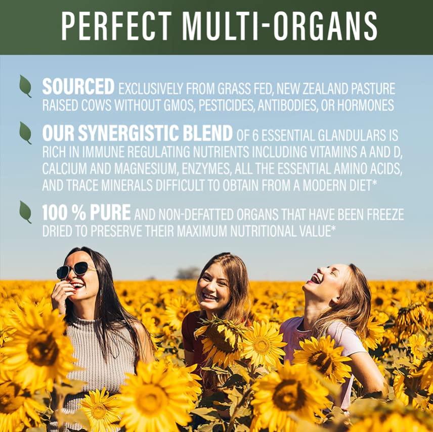 Perfect Supplements Perfect Multi-Organs pouring demonstrates easy powder integration.