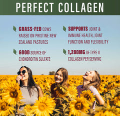 Nutrition facts label for Perfect Type II Collagen highlights high collagen content