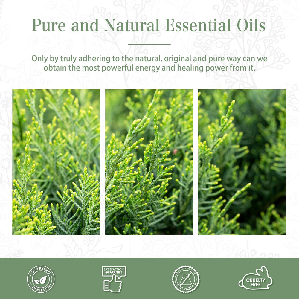 PHATOIL Cypress oil ready for bath bombs and spa like scents