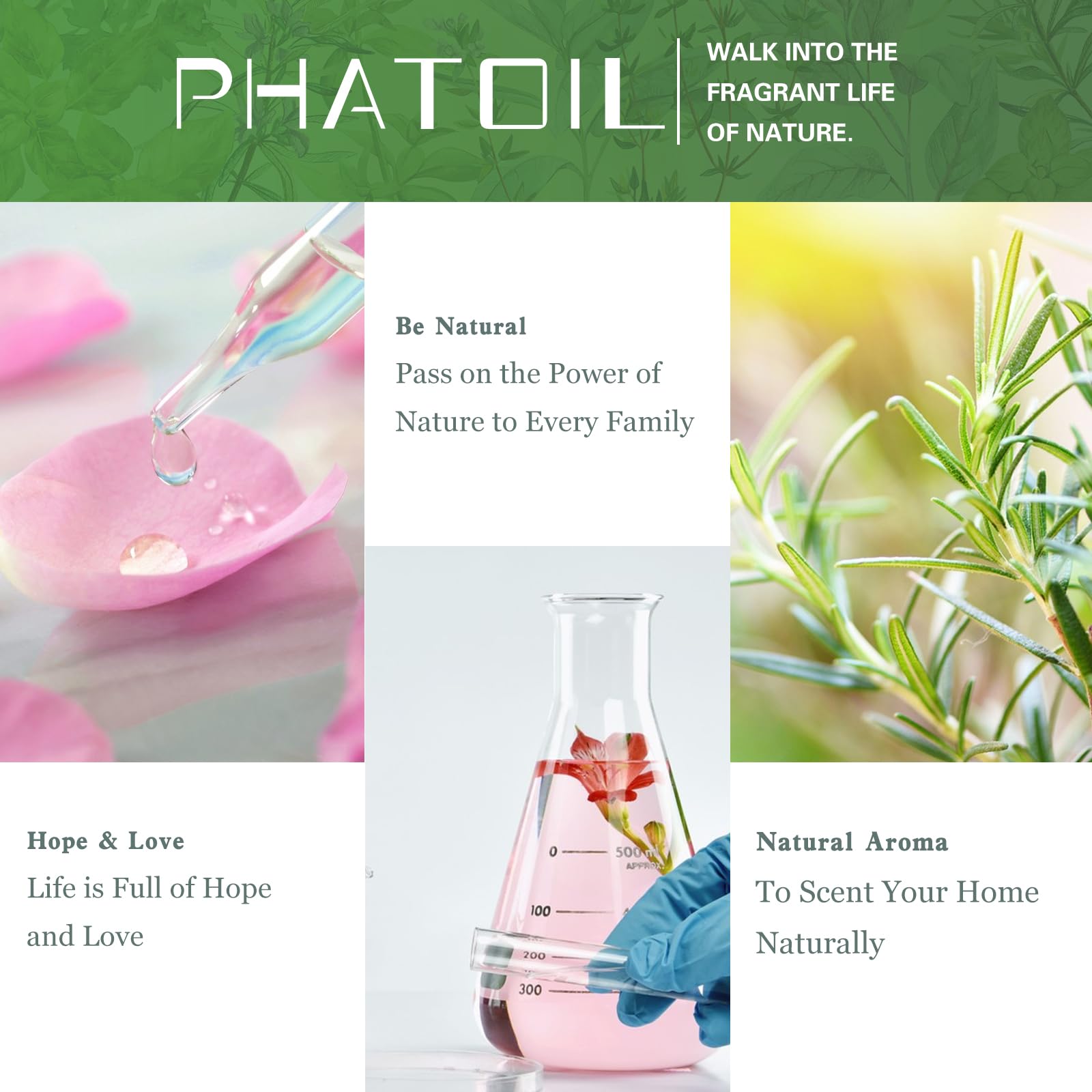 PHATOIL Cypress elegant gift packaging suitable for beginners