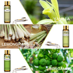 PHATOIL eucalyptus essential oil bottle boosts clarity in diffusers.