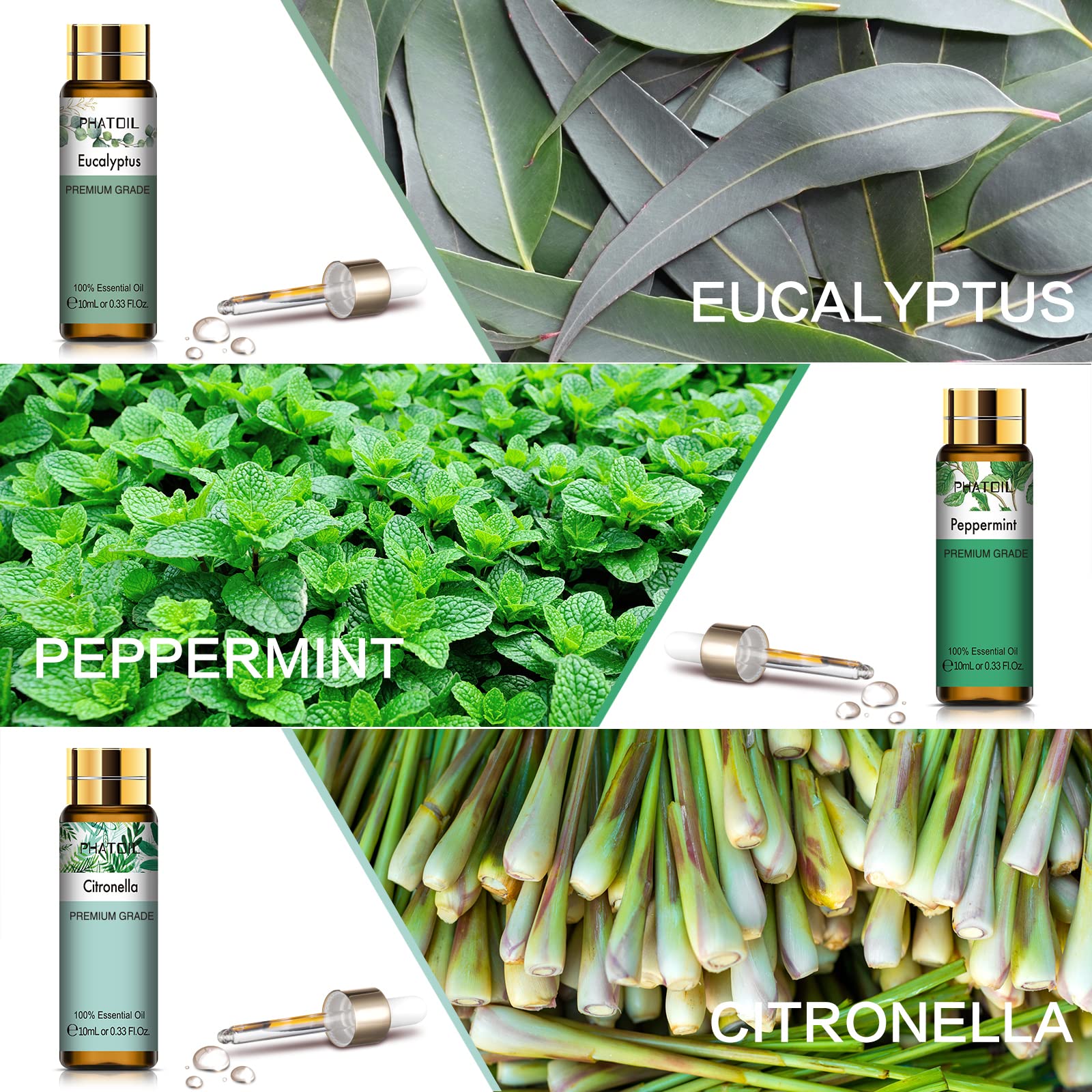 PHATOIL peppermint essential oil bottle provides refreshing, invigorating aroma.