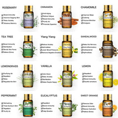 PHATOIL lemon oil bottle shown for bright diffuser blends