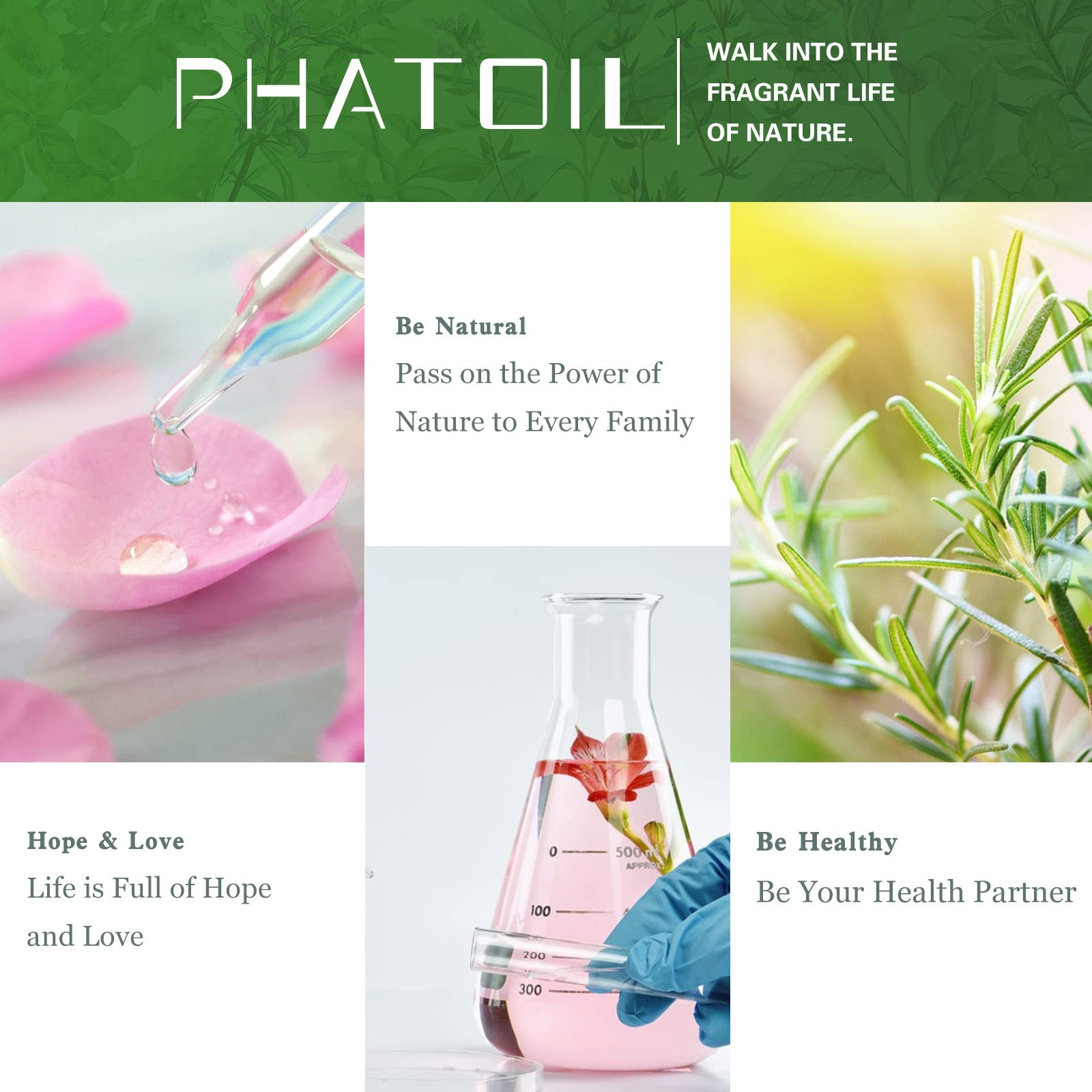 PHATOIL Spearmint gift box packaging ready for gifting