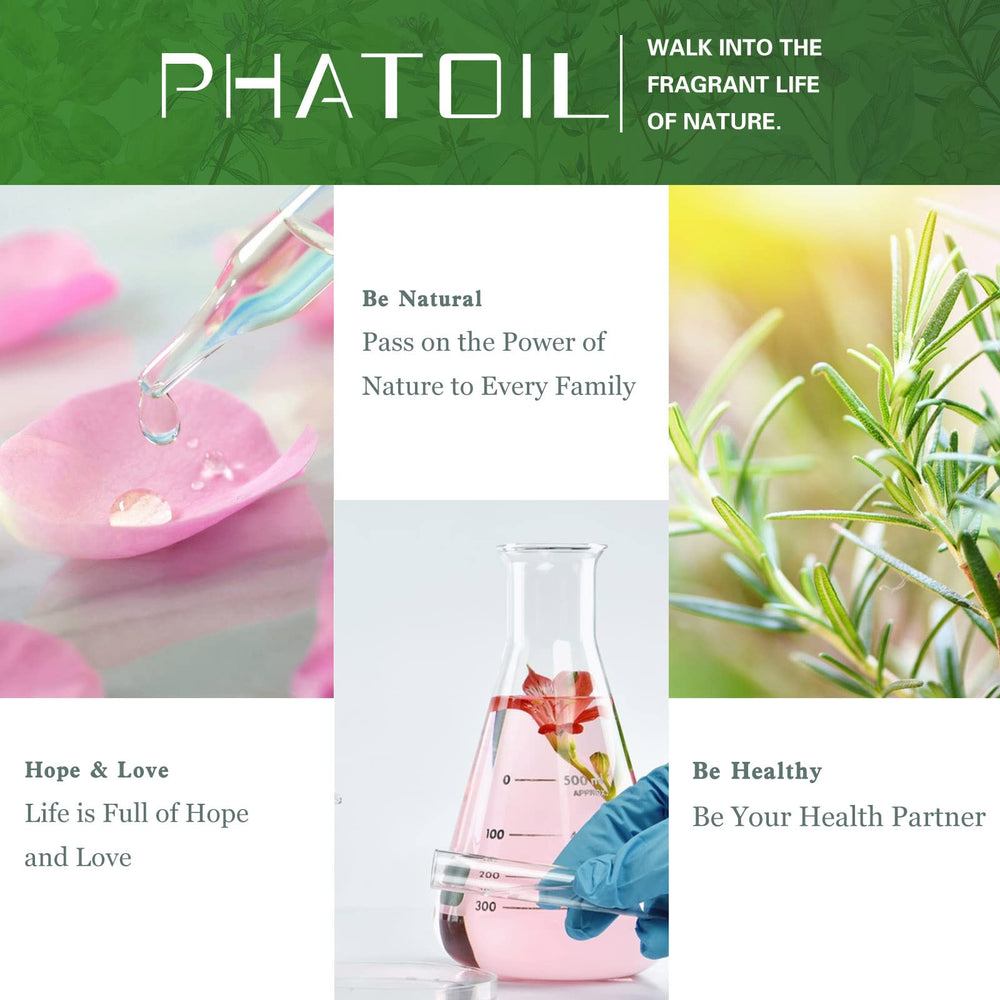 PHATOIL Spearmint gift box packaging ready for gifting