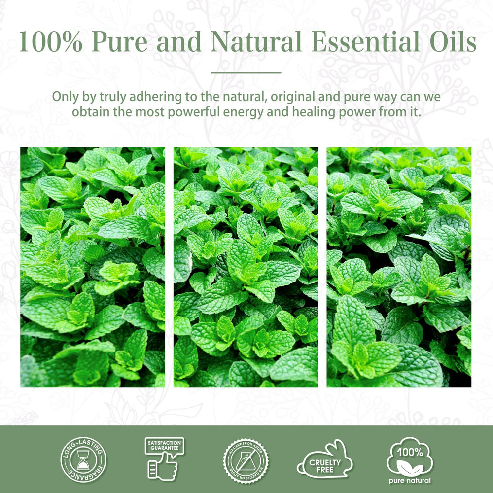 PHATOIL Spearmint in a diffuser setup creating a clean, uplifting atmosphere