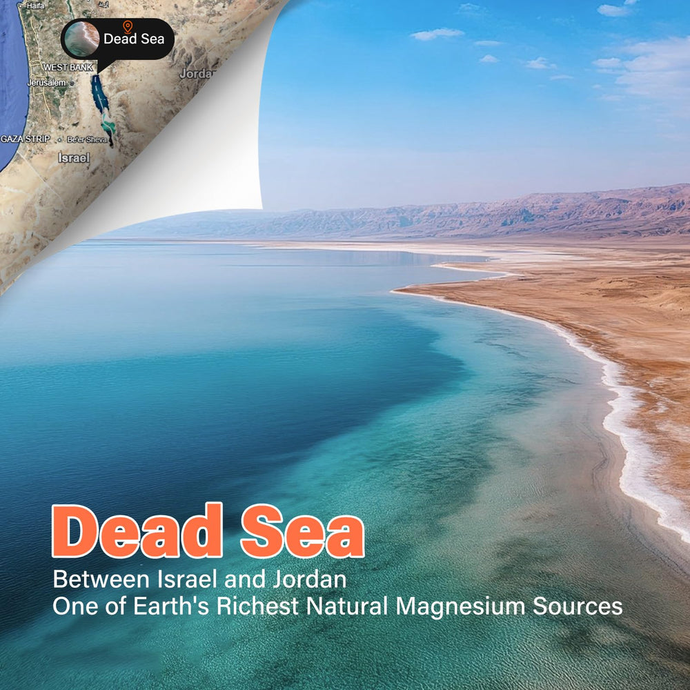 Phonelein Dead Sea magnesium oil close-up highlighting high absorption.