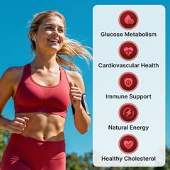PHYTOCHOICE Berberine HCl capsules close-up for convenient daily use and energy balance