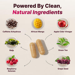 PHYTOCHOICE thermogenic metabolism formula highlights energy support during workouts.