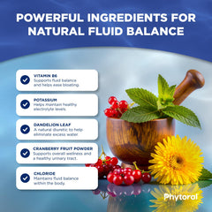 PHYTORAL dandelion leaf extract ingredient image highlights natural herbal blend.