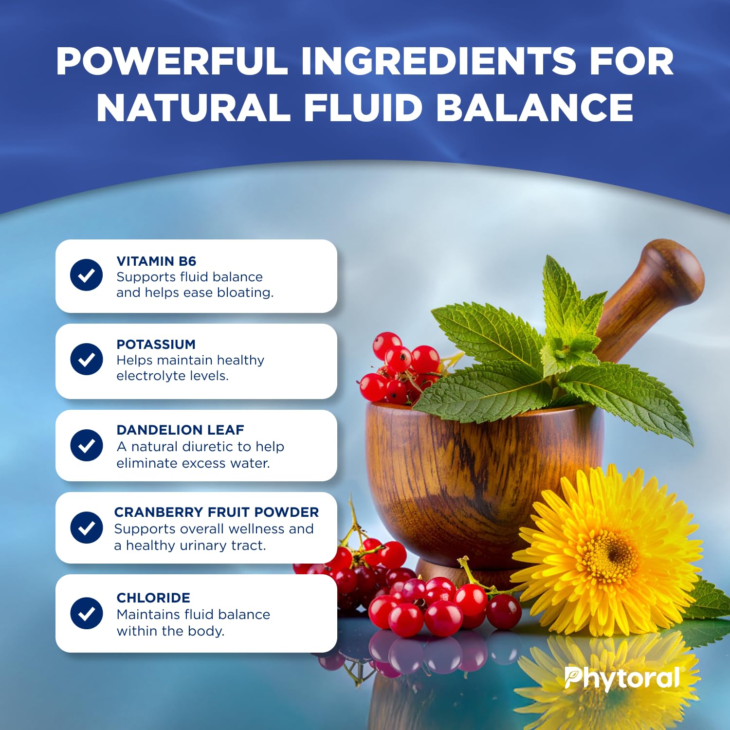 Phytoral green tea capsule with label highlighting metabolism and hydration support.