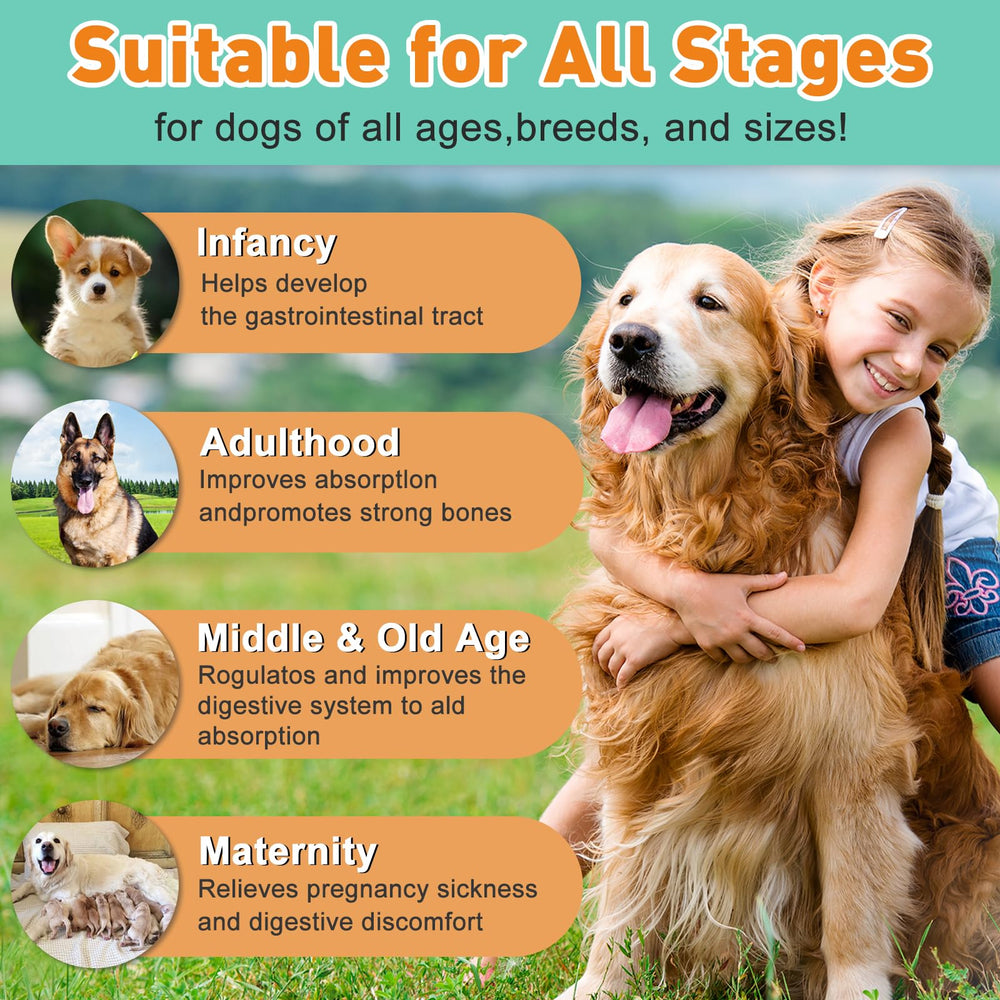 PICPOW packaging illustrating the immune-supporting probiotic blend.