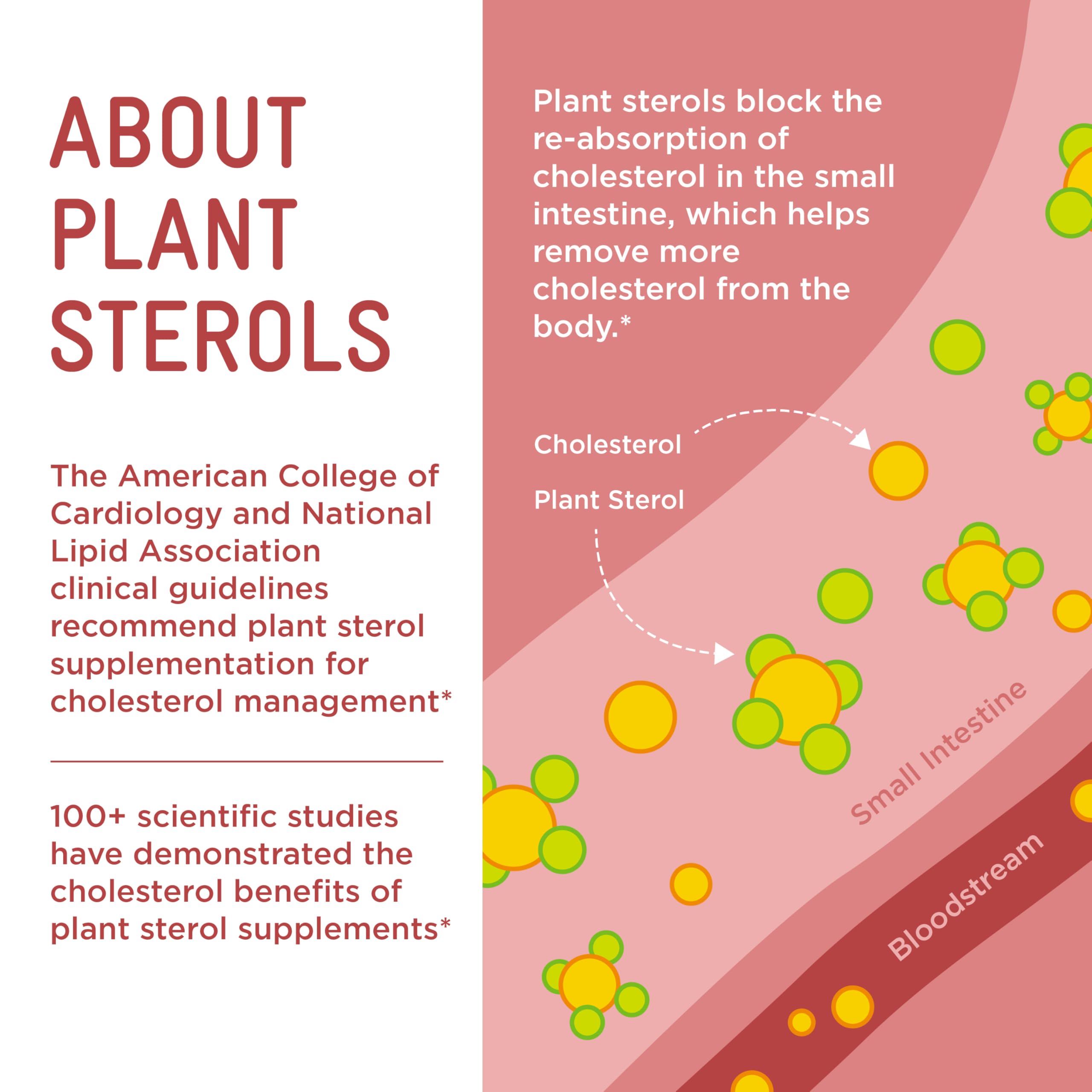 Piper Biosciences plant sterol gummies on the go pouches for daily routines.