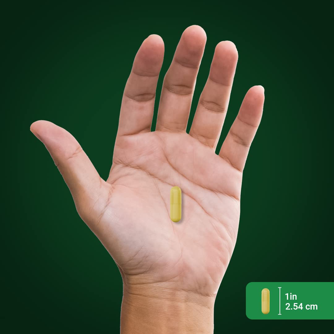 Piping Rock Berberine Cinnamon capsules pour for easy daily intake.