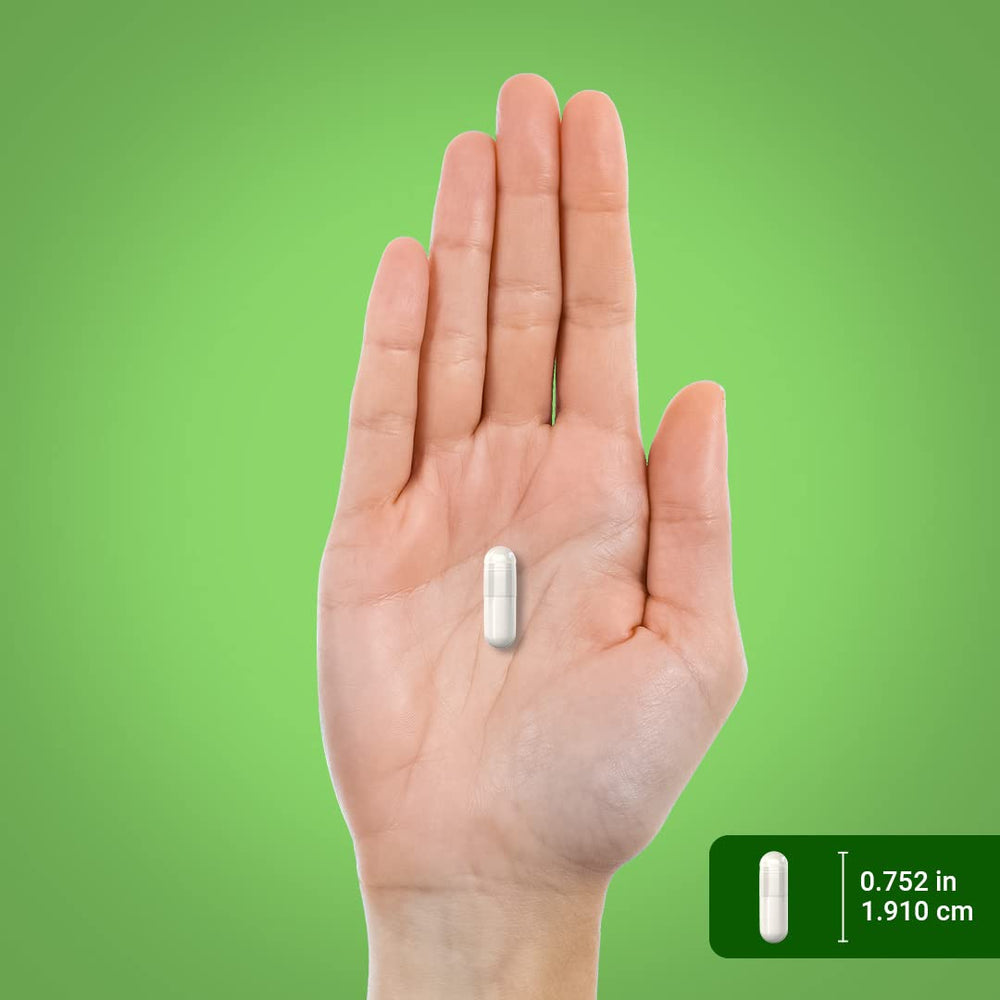 Piping Rock probiotic bottle collection highlighting 120 capsules