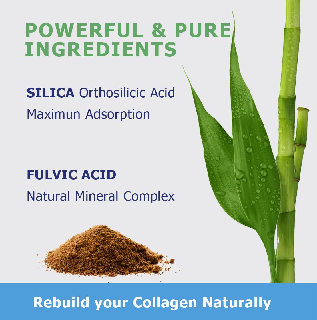 Planet Power SiPower fulvic acid supports gut health.