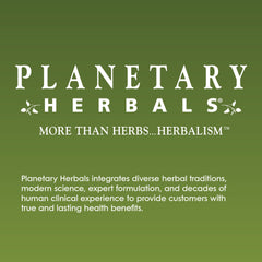 Planetary Herbals Full Spectrum Stinging Nettle packaging display for easy shopping