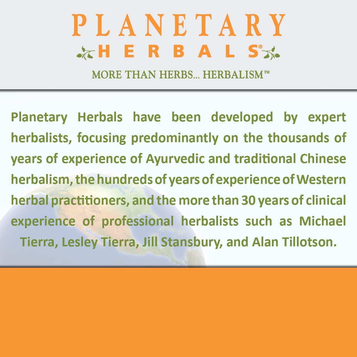 Back view of Planetary Herbals Mullein Lung Complex packaging and branding