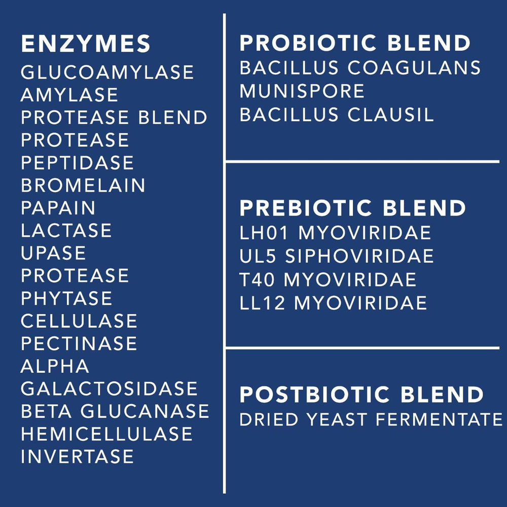 PLANT.O NUTRITION Comprehensive 4-in-1 formula highlights prebiotic, probiotic, postbiotic, and enzymes.