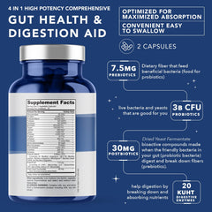 PLANT.O NUTRITION Enzyme blend capsule supports nutrient breakdown and absorption.
