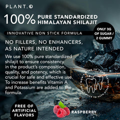 PLANT.O NUTRITION Shilajit Gummies non-stick formula close-up.