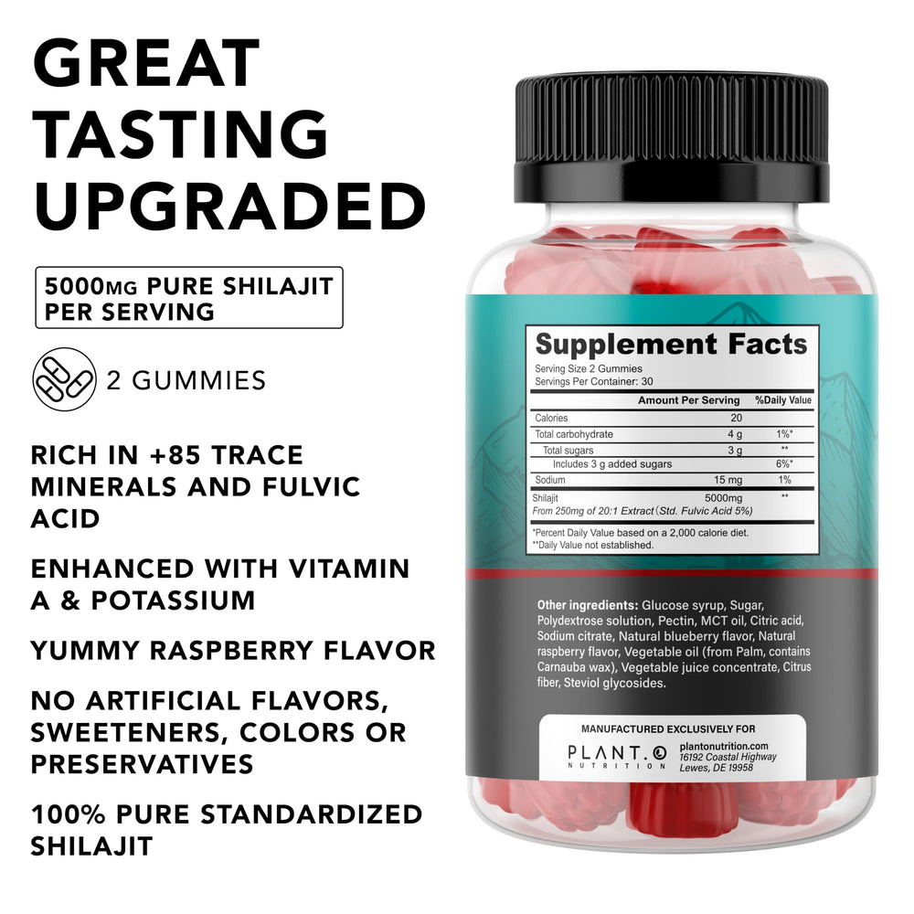 PLANT.O NUTRITION Shilajit Gummies close-up gummy texture for energy support.