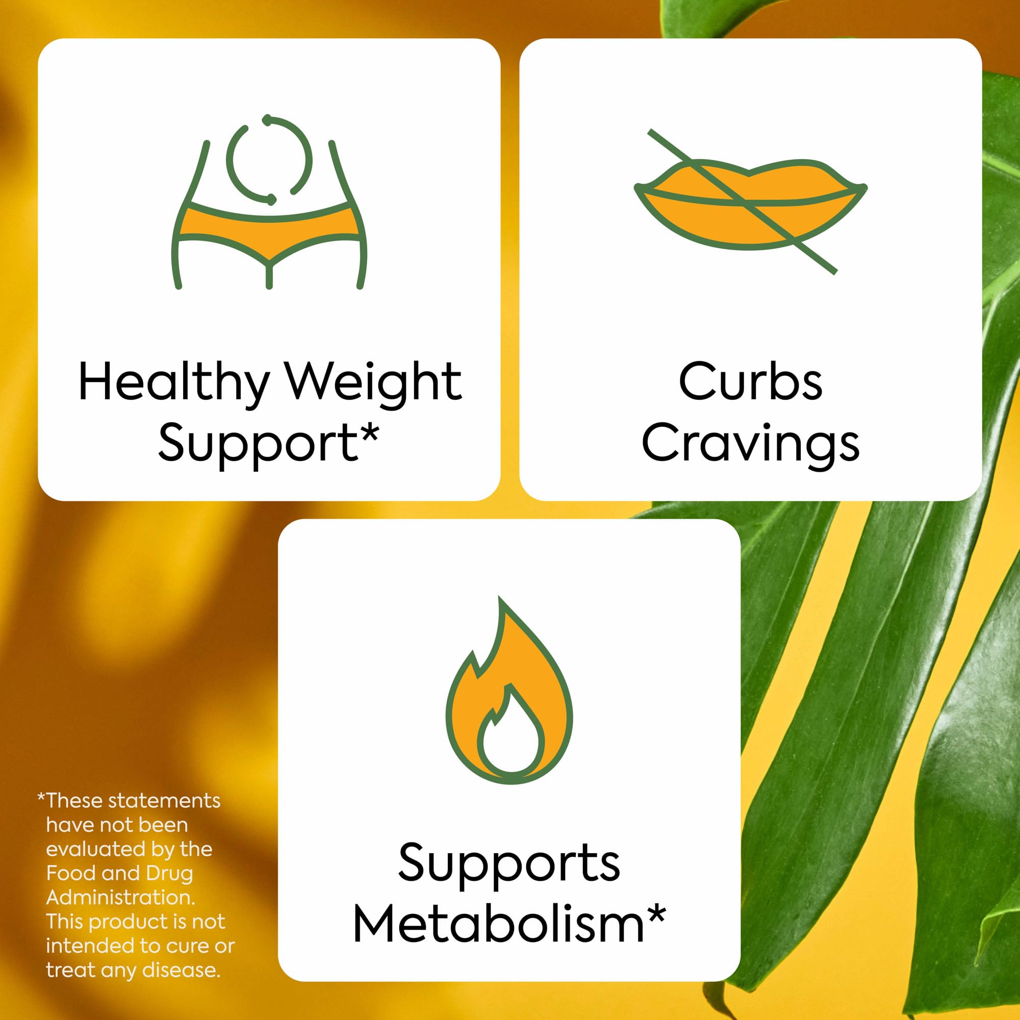 Cinnamon and supplement visuals highlight metabolism-friendly ingredients in WonderBurn.