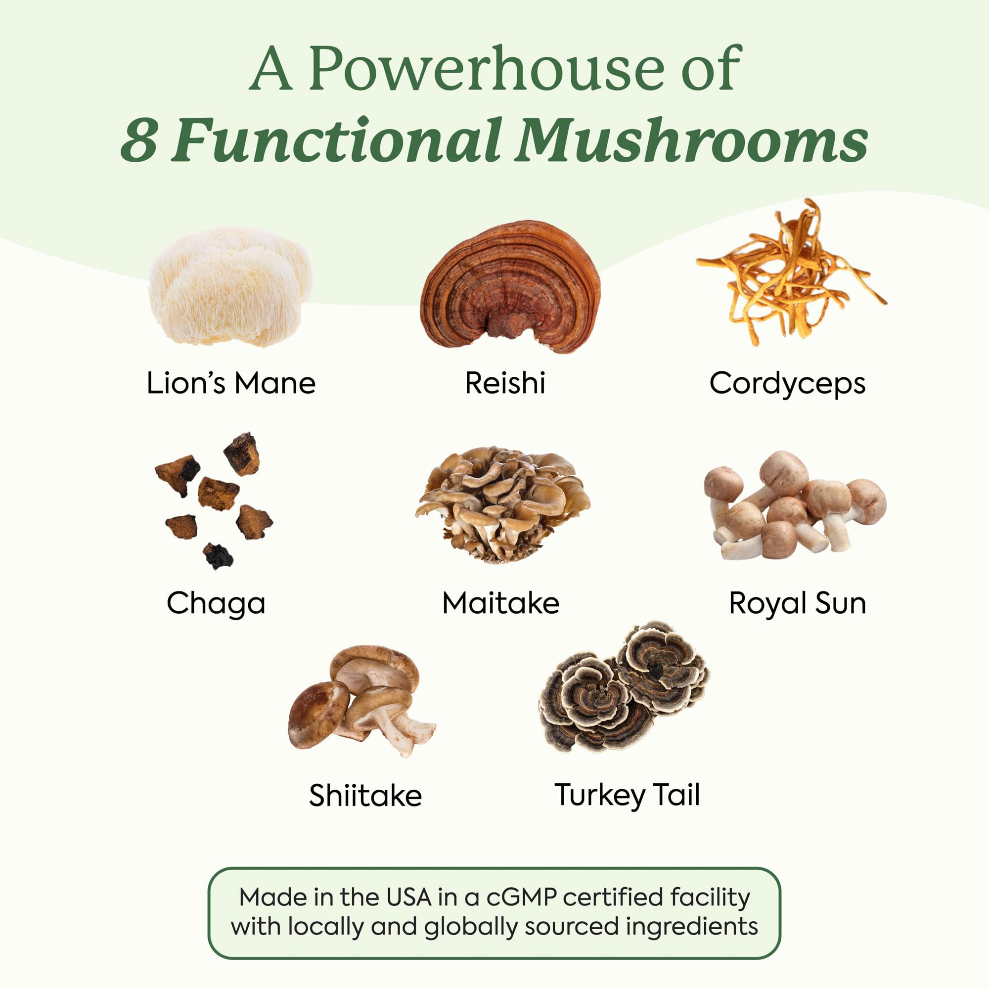 Plant People WonderDay Mini with Chaga and Royal Sun signals immune support visuals.