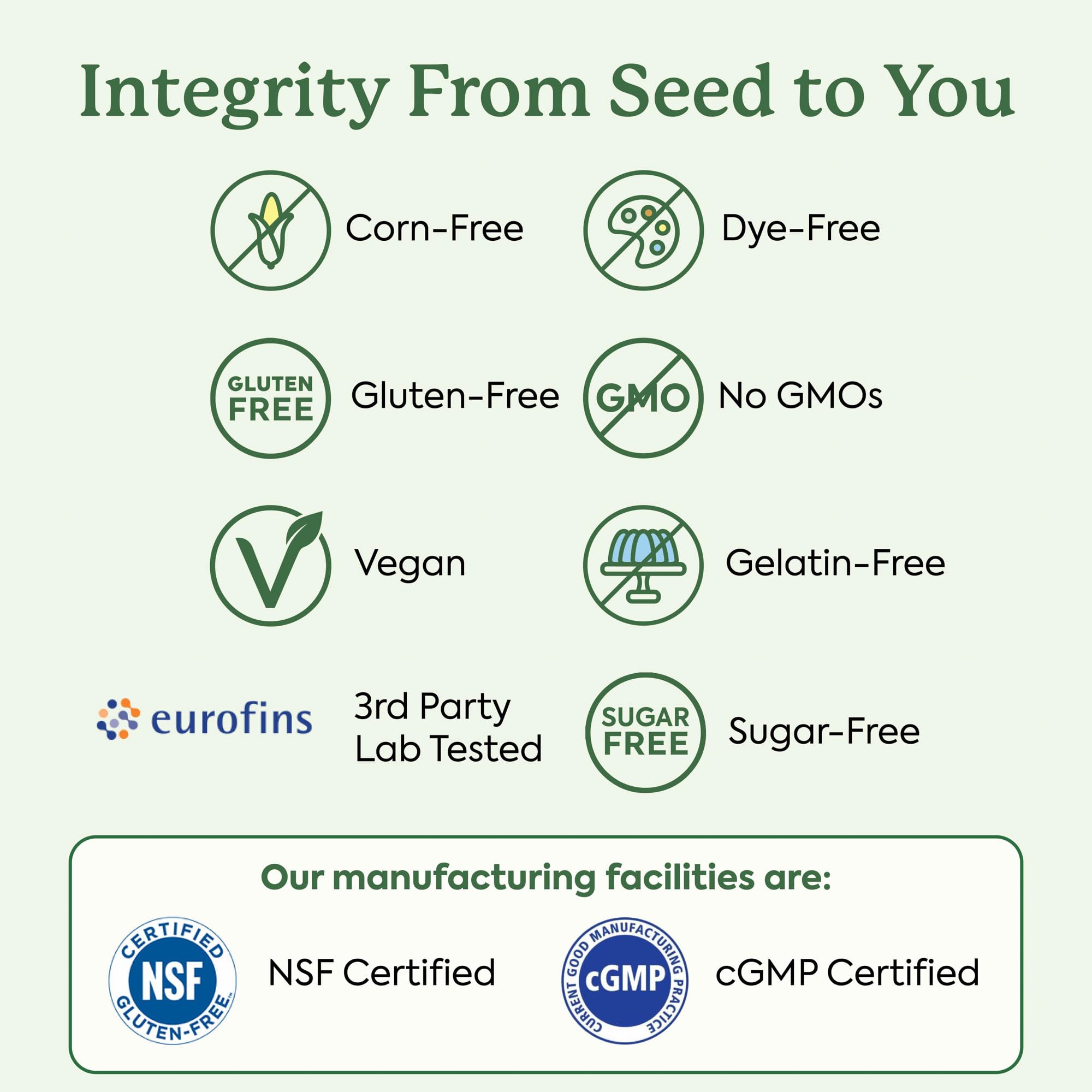 WonderFocus gummies held in hand beside notebook for study use