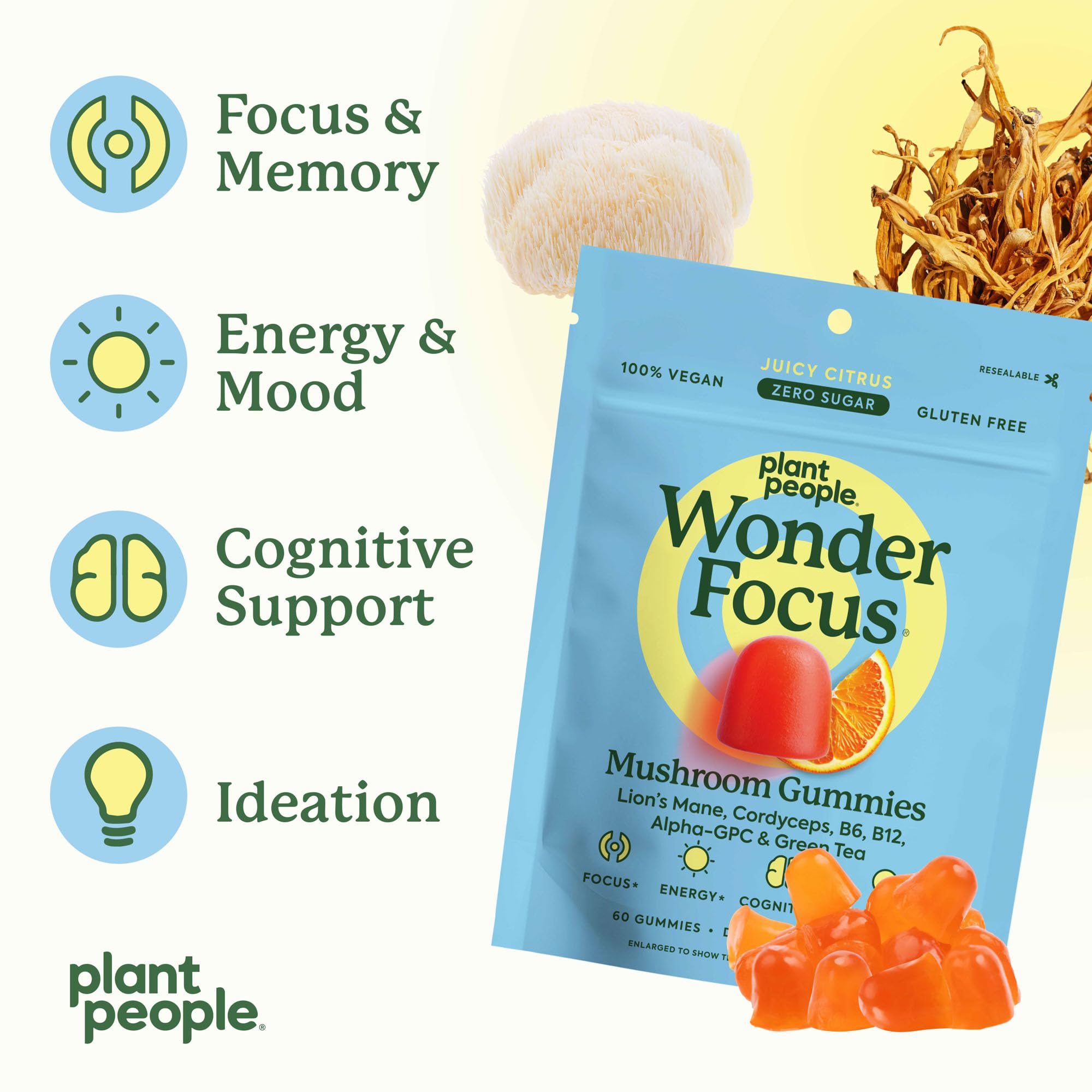 Lion's Mane and Cordyceps iconography on WonderFocus packaging