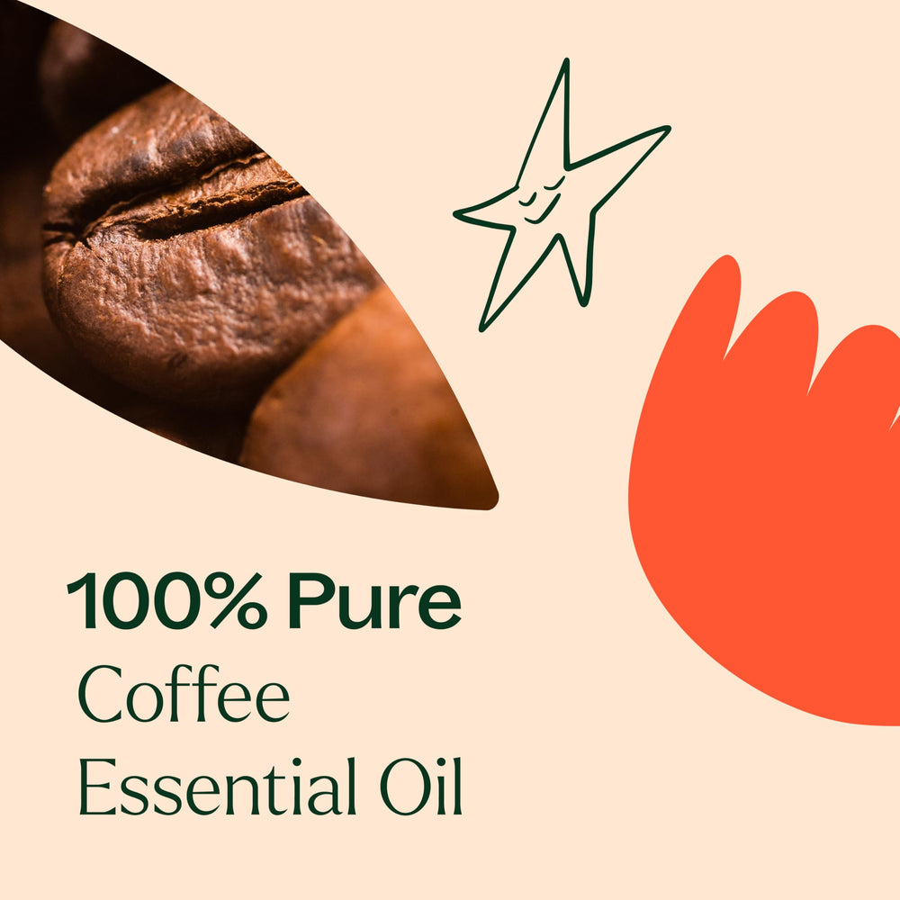 Affordable Plant Therapy essential oils offering coffee scent at direct-to-consumer price.