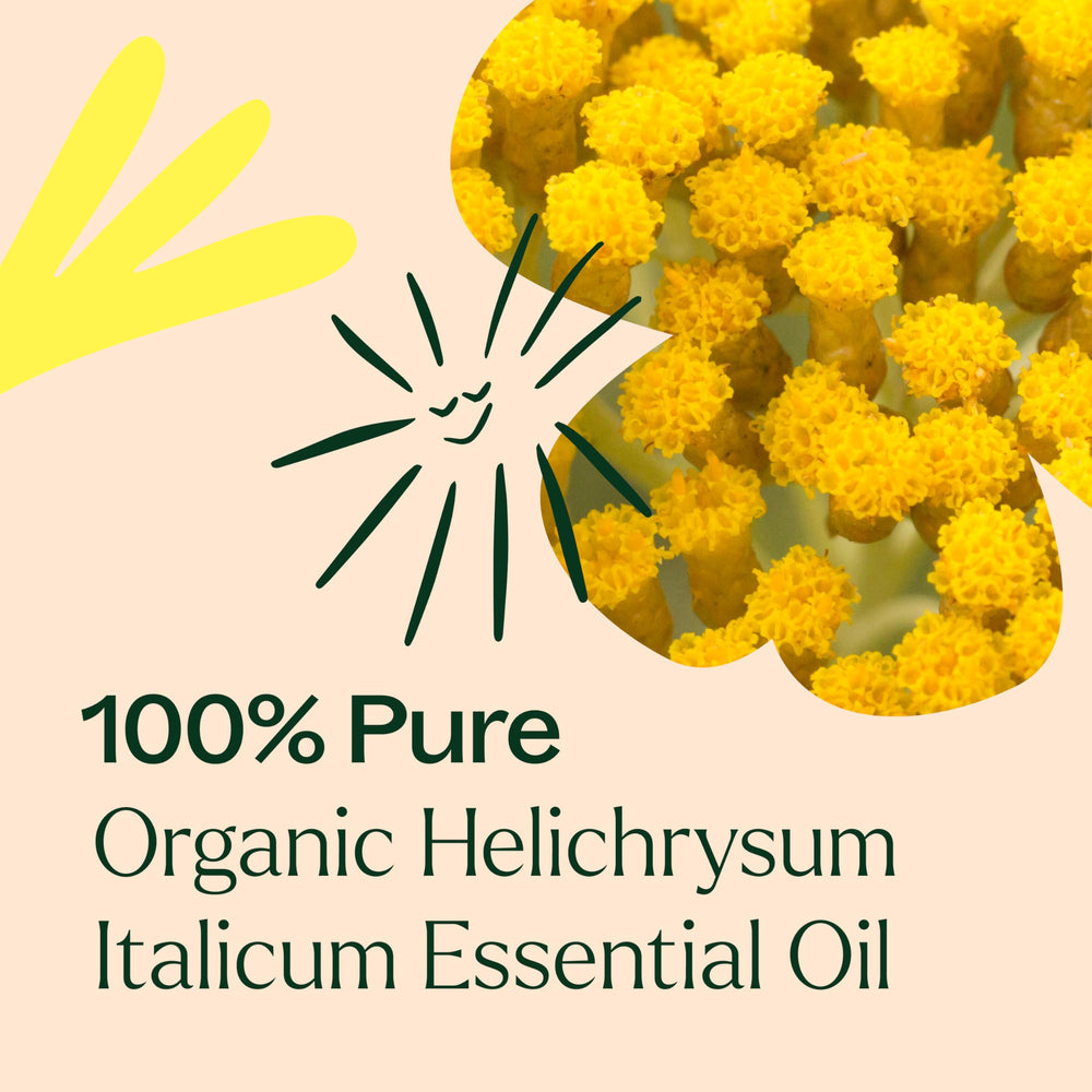 Plant Therapy diffuser with Helichrysum oil in a peaceful room.