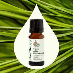 Plant Therapy Atlas Cedarwood diffuser scene highlights calming scent for relaxation.